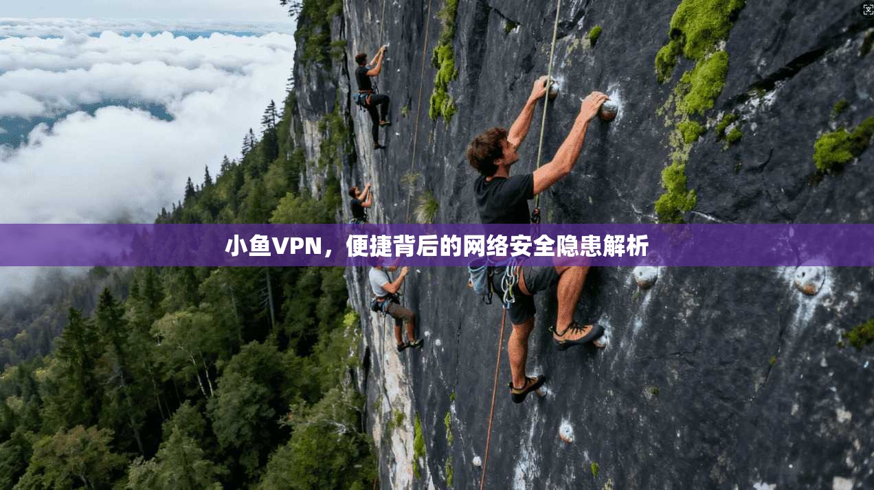 小鱼VPN，便捷背后的网络安全隐患解析