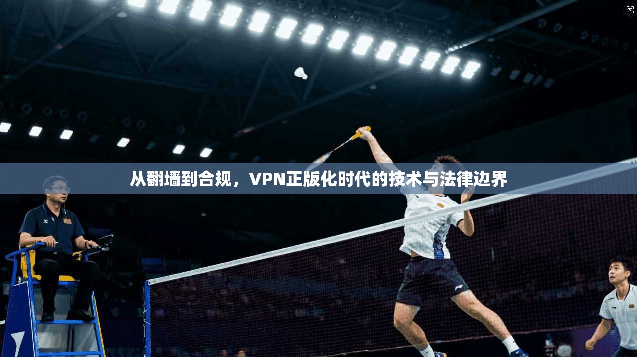 从翻墙到合规，VPN正版化时代的技术与法律边界