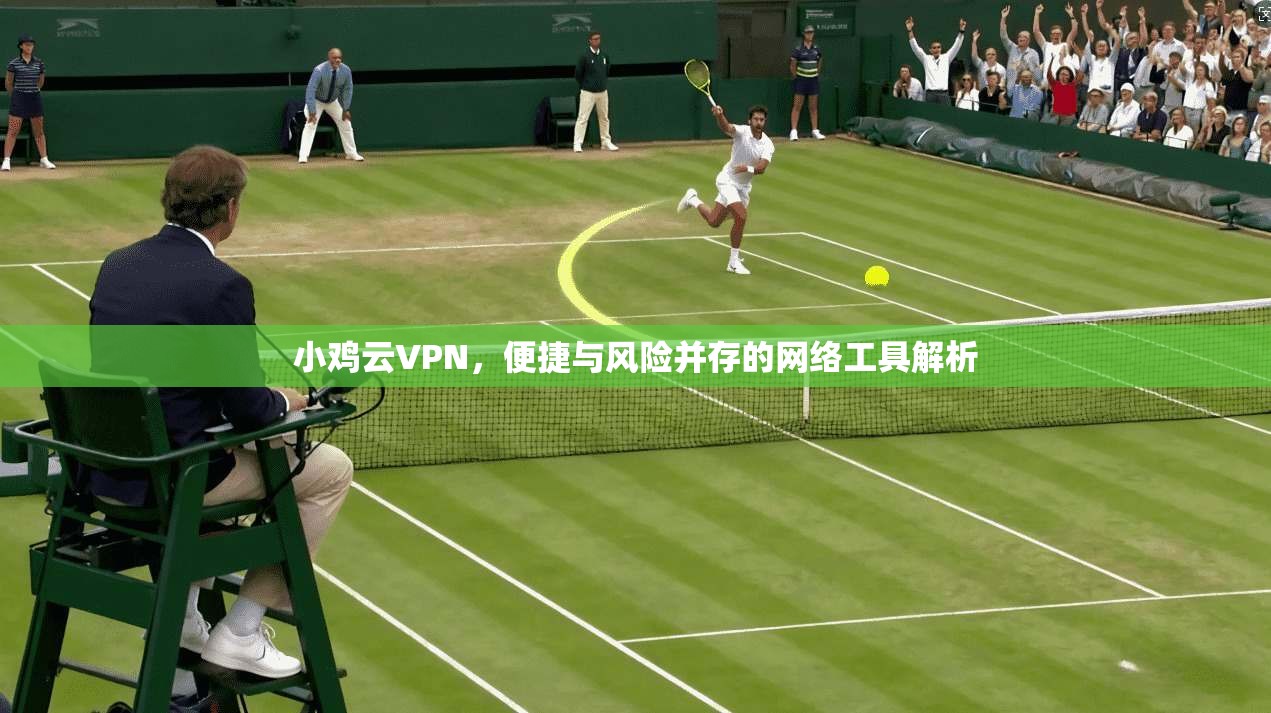 小鸡云VPN，便捷与风险并存的网络工具解析