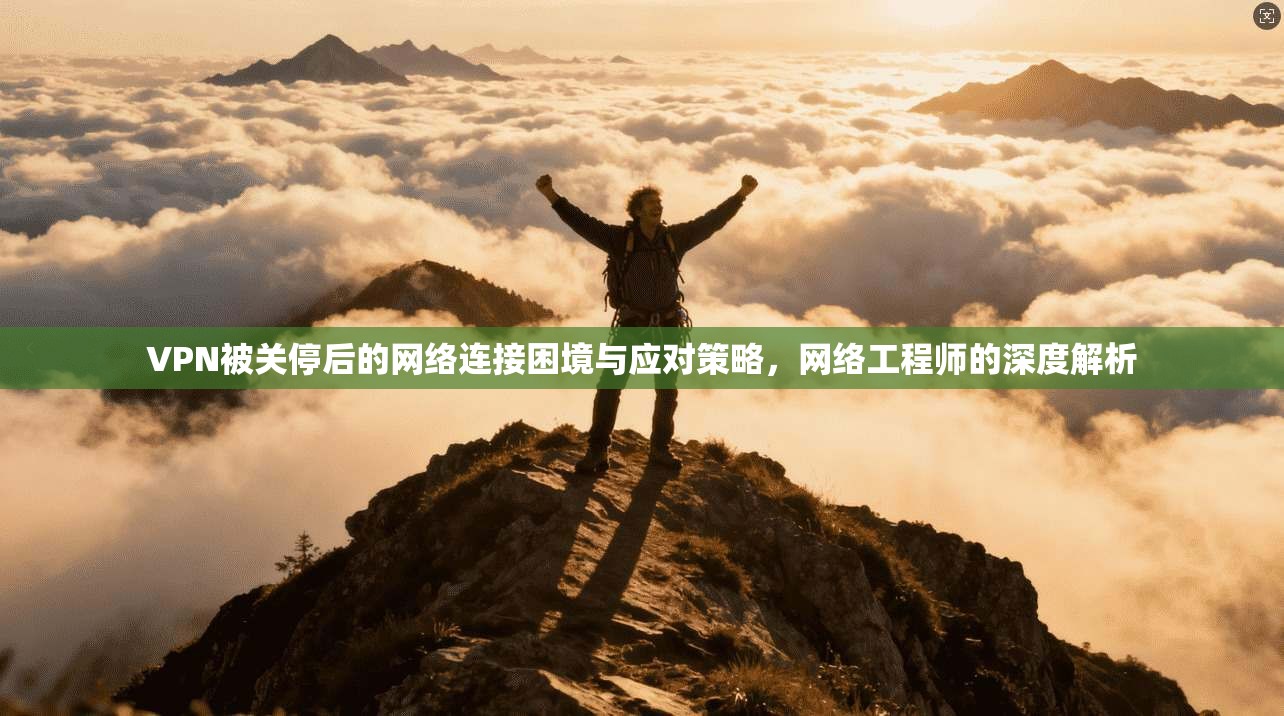 VPN被关停后的网络连接困境与应对策略，网络工程师的深度解析