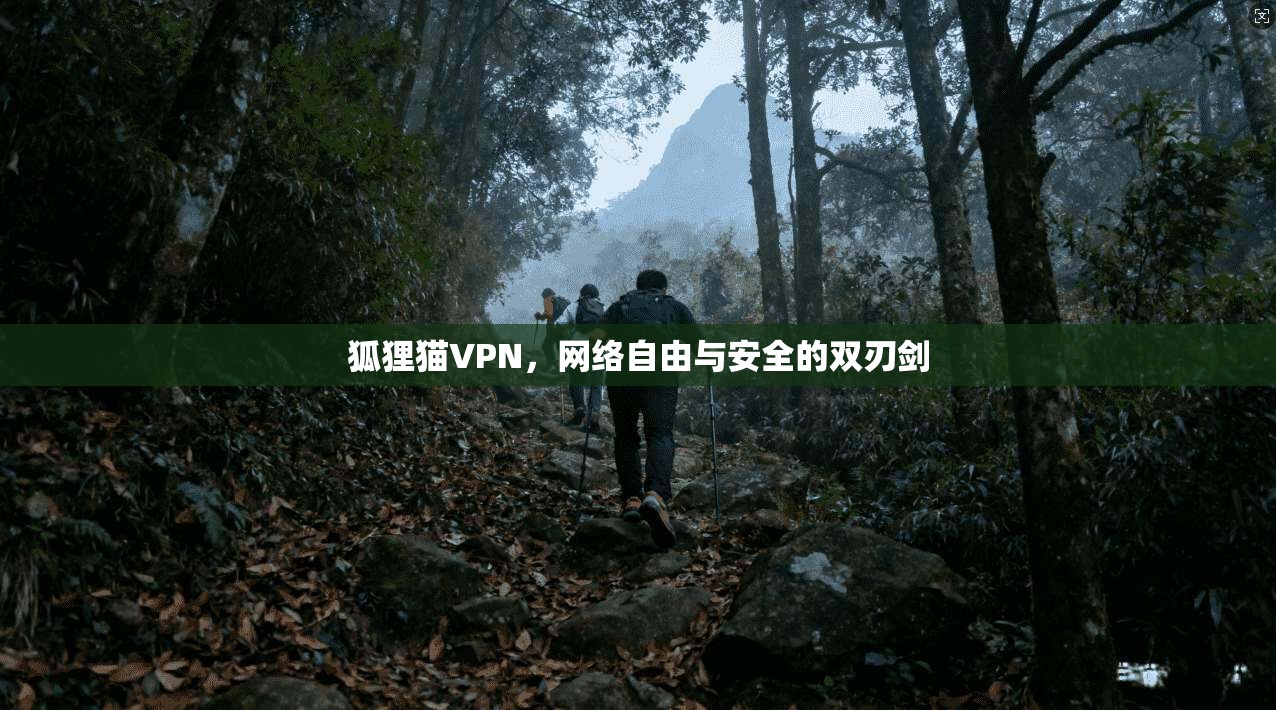 狐狸猫VPN，网络自由与安全的双刃剑