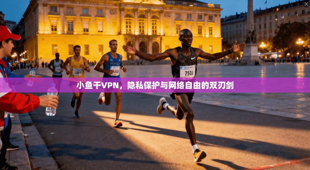 小鱼干VPN，隐私保护与网络自由的双刃剑