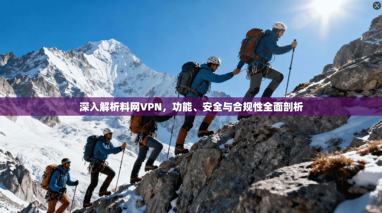深入解析料网VPN,功能、安全与合规性全面剖析
