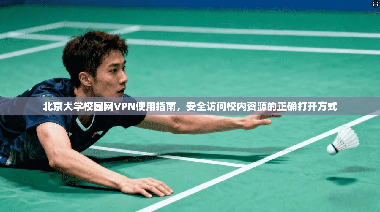 北京大学校园网VPN使用指南，安全访问校内资源的正确打开方式