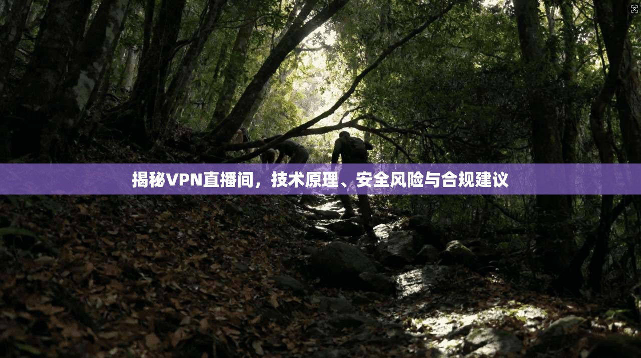 揭秘VPN直播间,技术原理、安全风险与合规建议