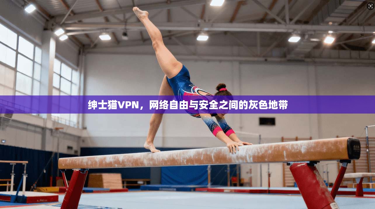 绅士猫VPN，网络自由与安全之间的灰色地带