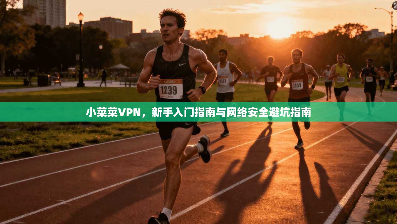 小菜菜VPN，新手入门指南与网络安全避坑指南