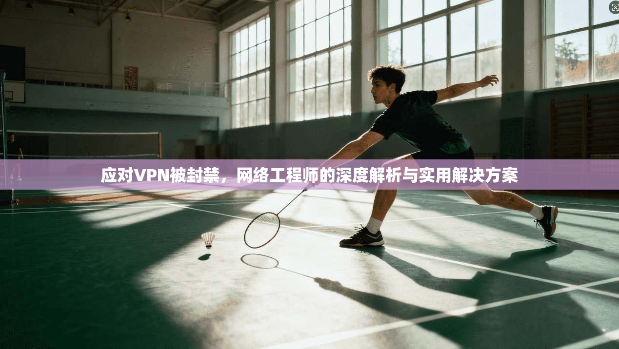 应对VPN被封禁，网络工程师的深度解析与实用解决方案