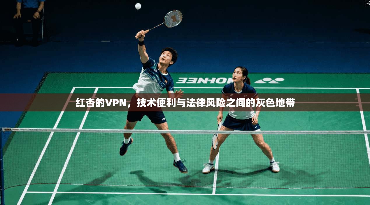 红杏的VPN，技术便利与法律风险之间的灰色地带