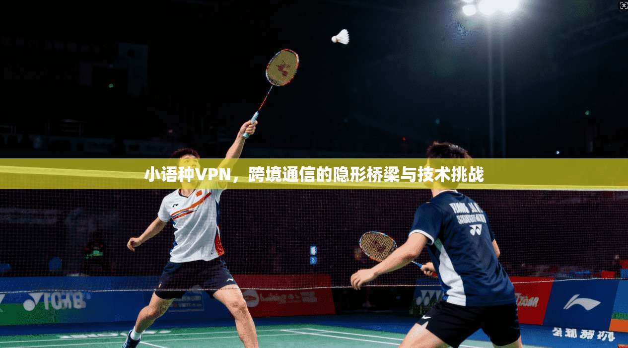 小语种VPN,跨境通信的隐形桥梁与技术挑战