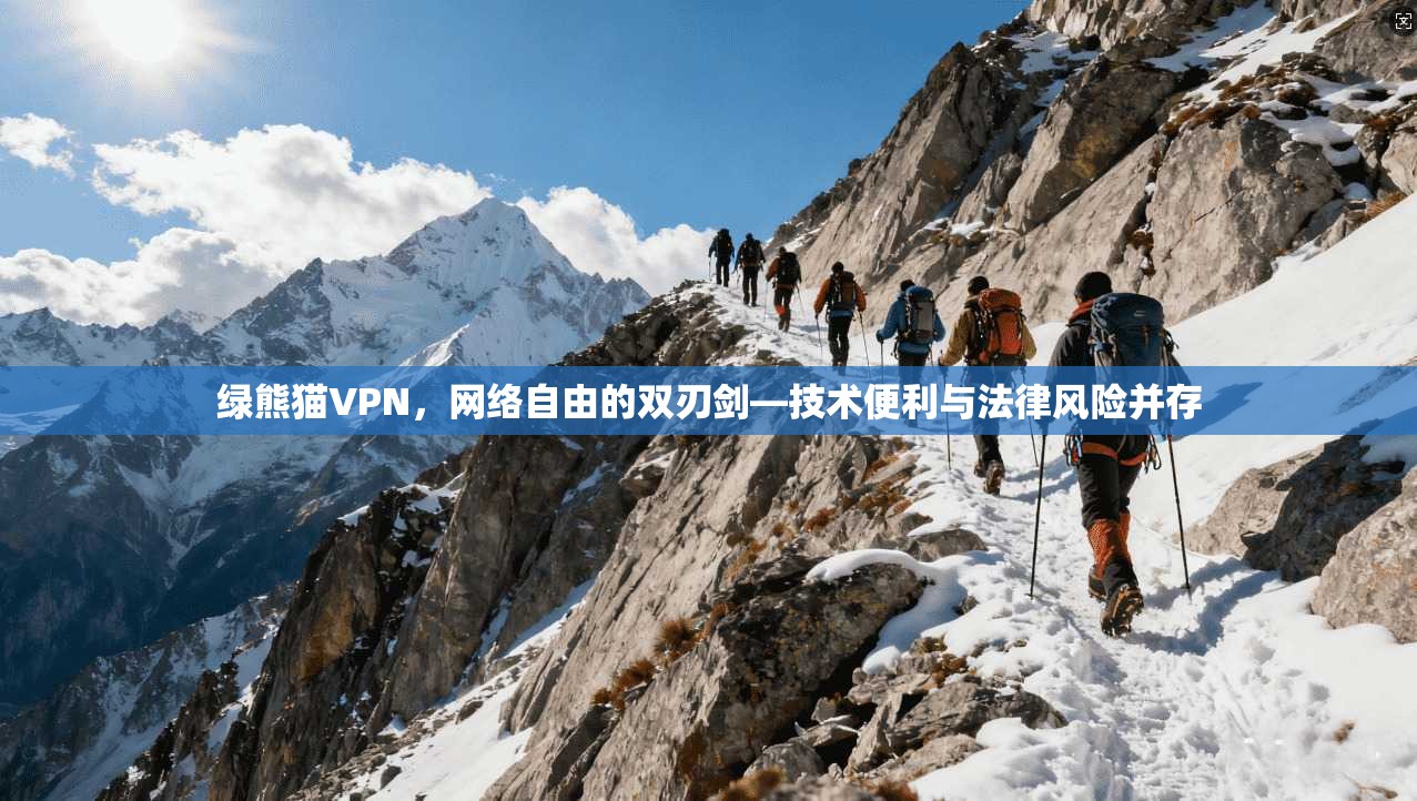 绿熊猫VPN,网络自由的双刃剑—技术便利与法律风险并存