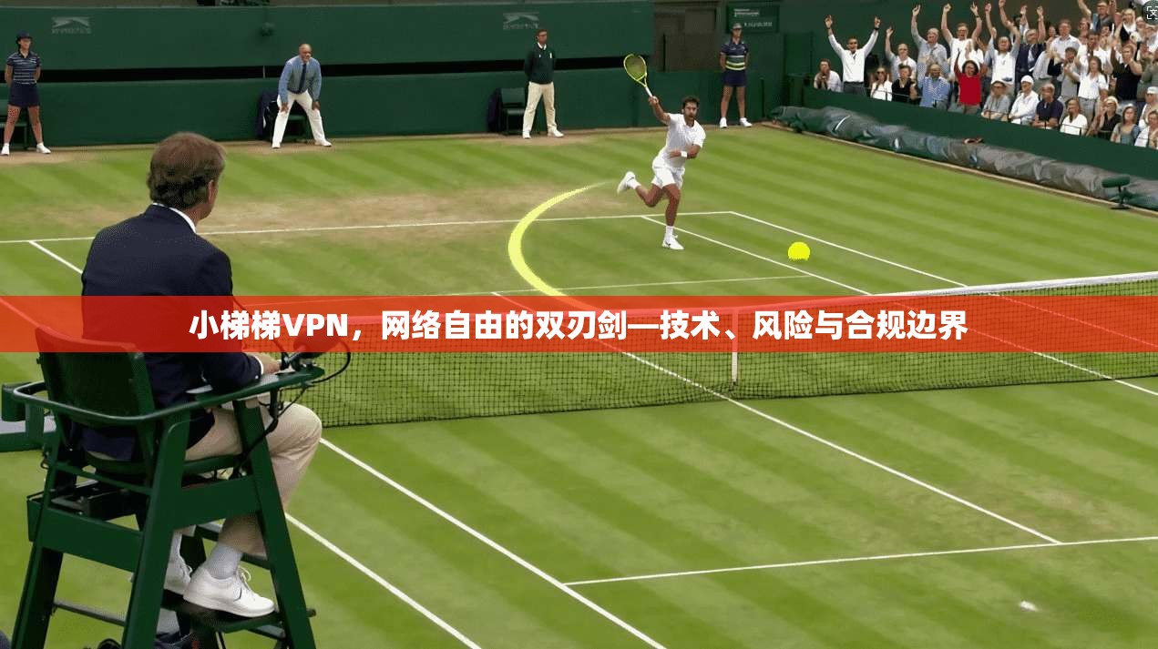 小梯梯VPN,网络自由的双刃剑—技术、风险与合规边界