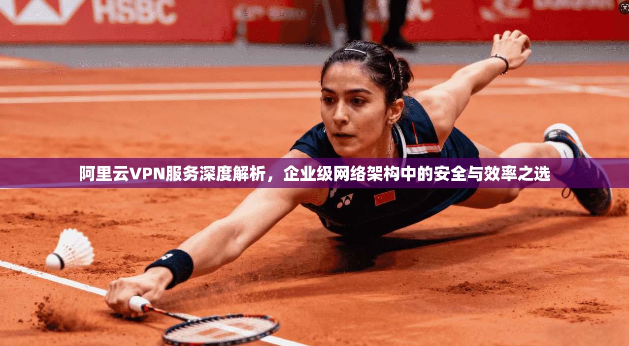 阿里云VPN服务深度解析,企业级网络架构中的安全与效率之选