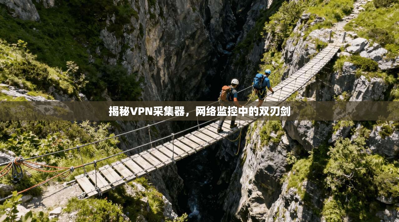 揭秘VPN采集器，网络监控中的双刃剑