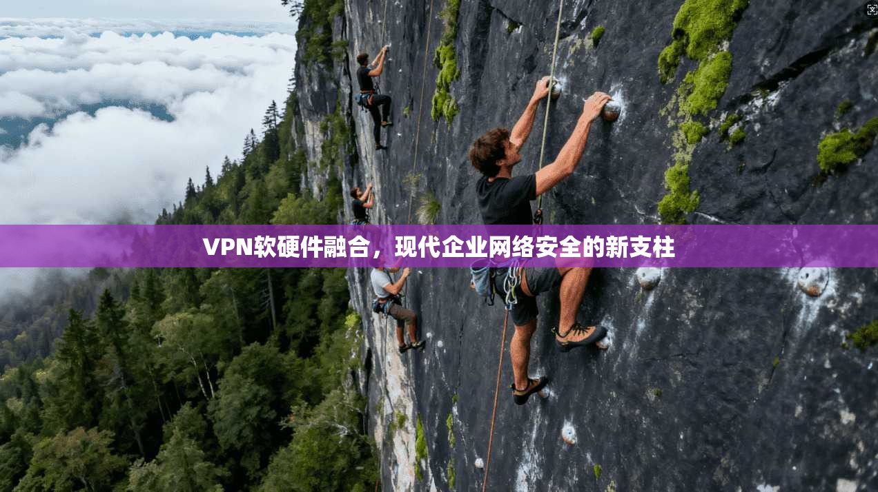 VPN软硬件融合，现代企业网络安全的新支柱