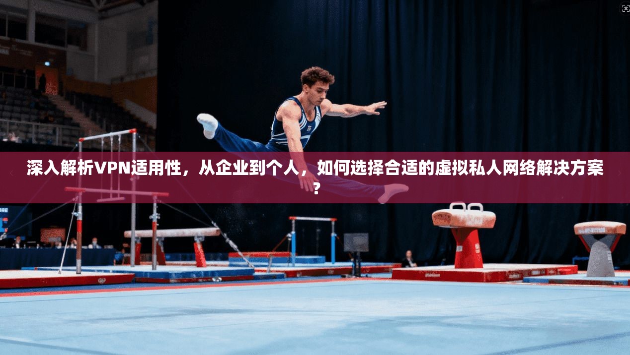 深入解析VPN适用性，从企业到个人，如何选择合适的虚拟私人网络解决方案？