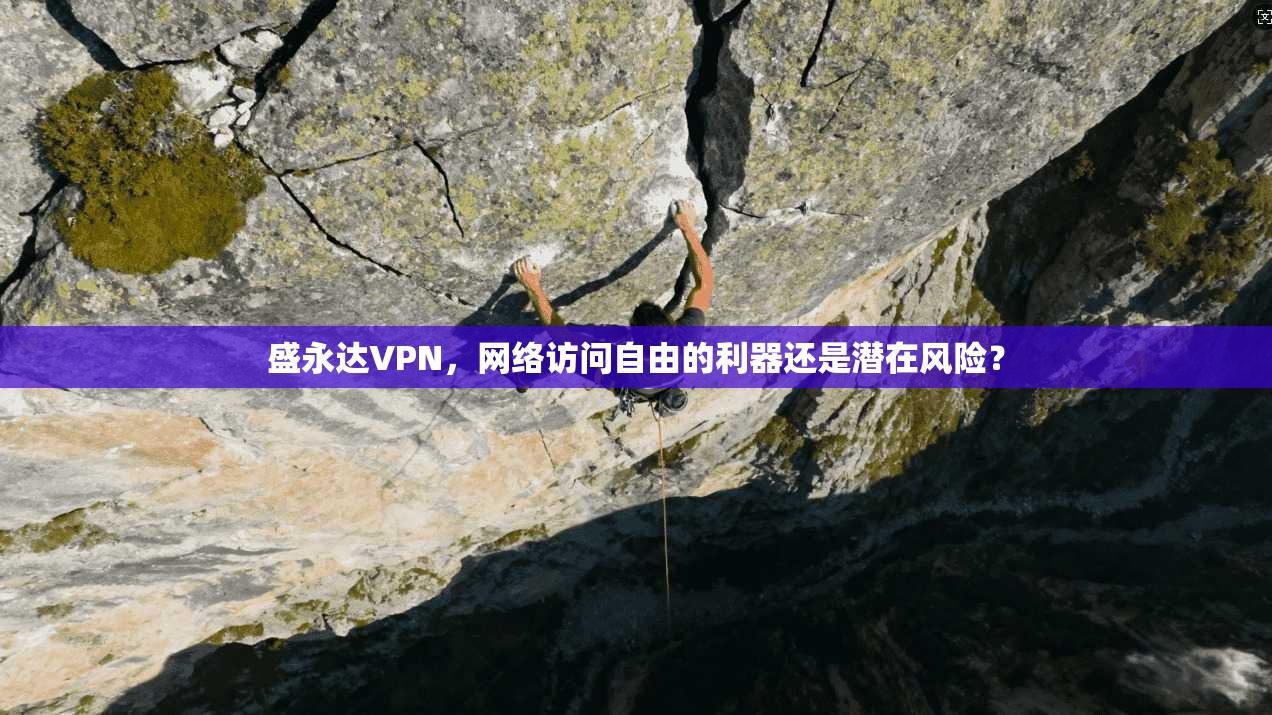盛永达VPN，网络访问自由的利器还是潜在风险？