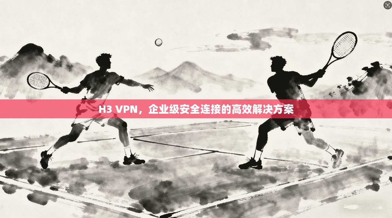 H3 VPN，企业级安全连接的高效解决方案