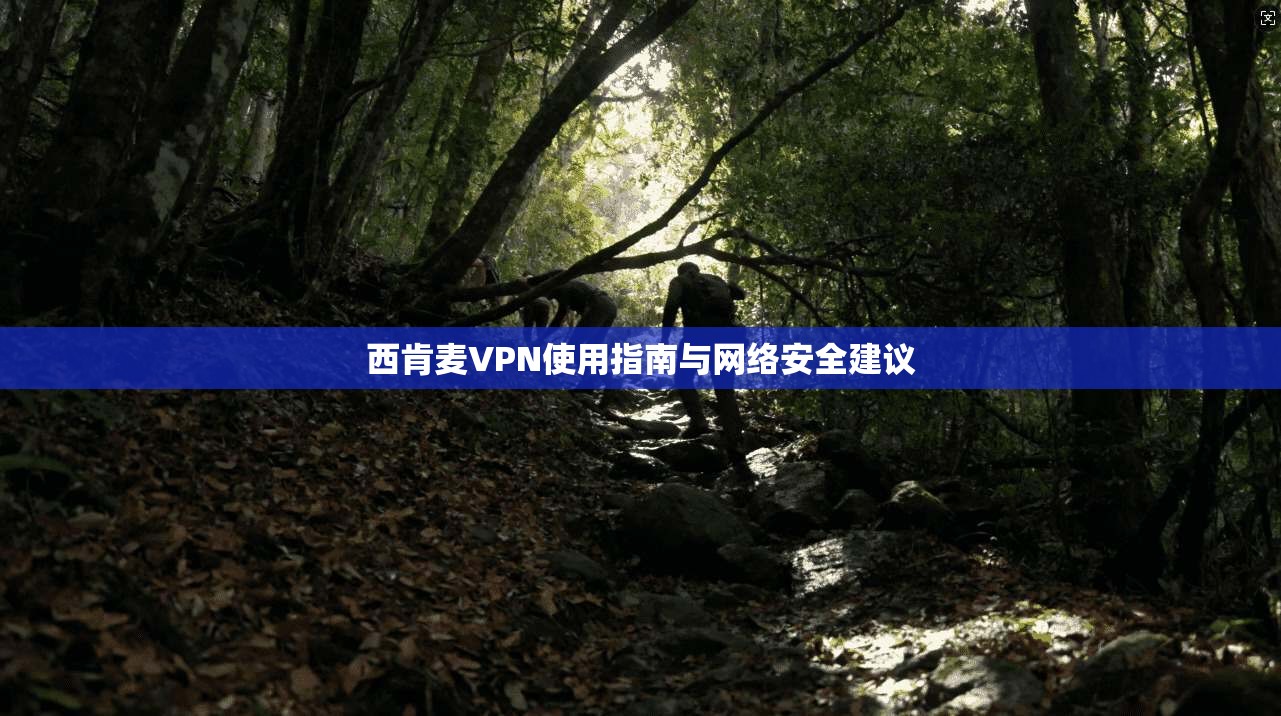 西肯麦VPN使用指南与网络安全建议