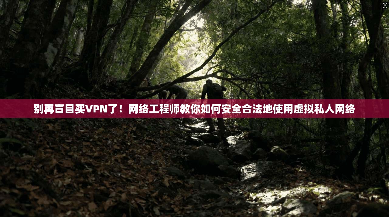别再盲目买VPN了！网络工程师教你如何安全合法地使用虚拟私人网络