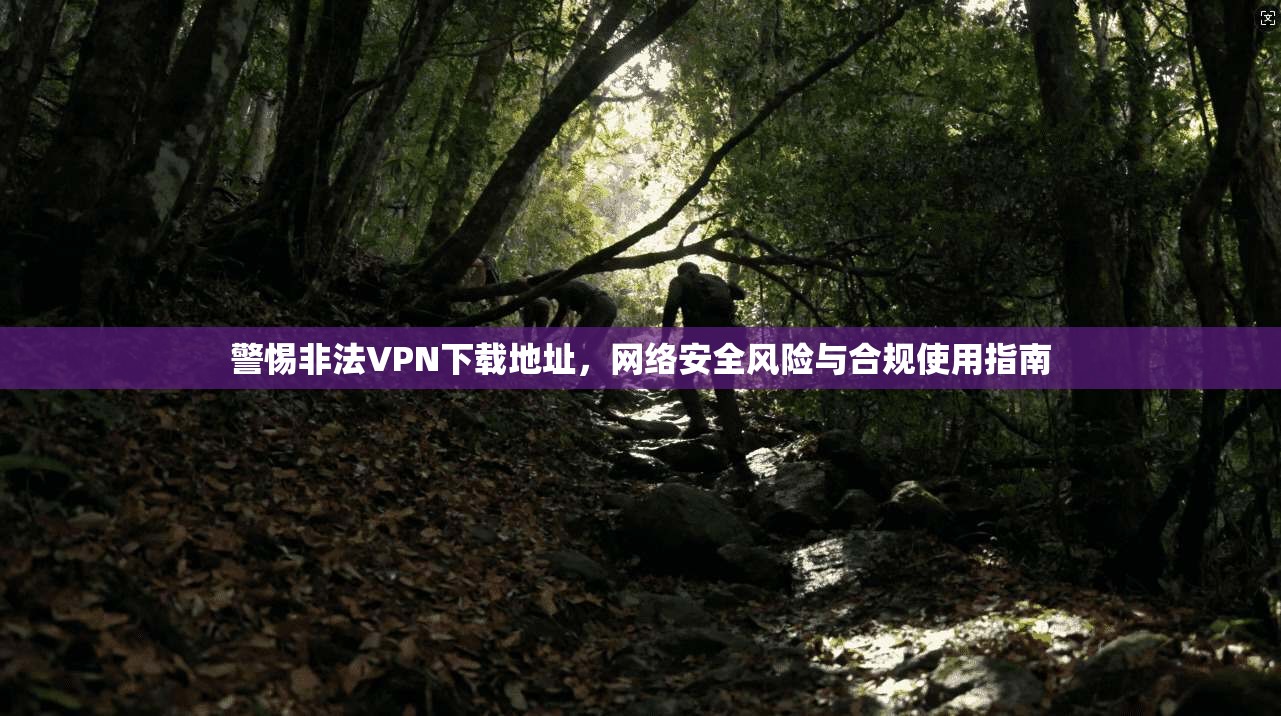 警惕非法VPN下载地址，网络安全风险与合规使用指南