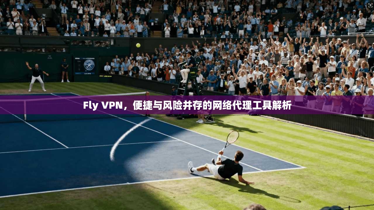 Fly VPN，便捷与风险并存的网络代理工具解析