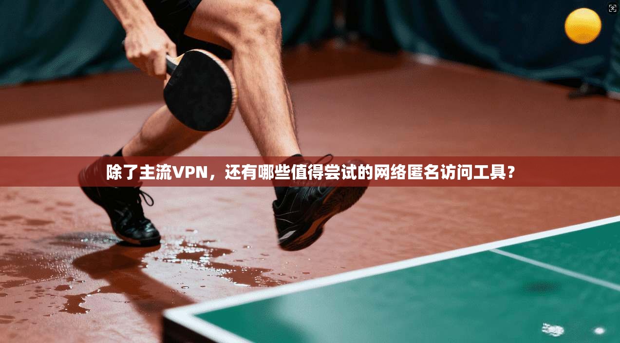 除了主流VPN，还有哪些值得尝试的网络匿名访问工具？