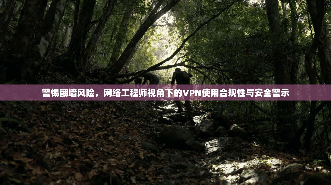 警惕翻墙风险，网络工程师视角下的VPN使用合规性与安全警示