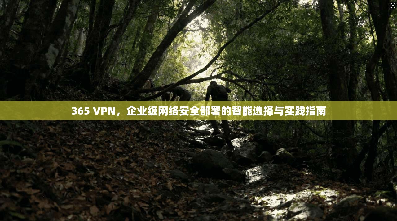 365 VPN，企业级网络安全部署的智能选择与实践指南