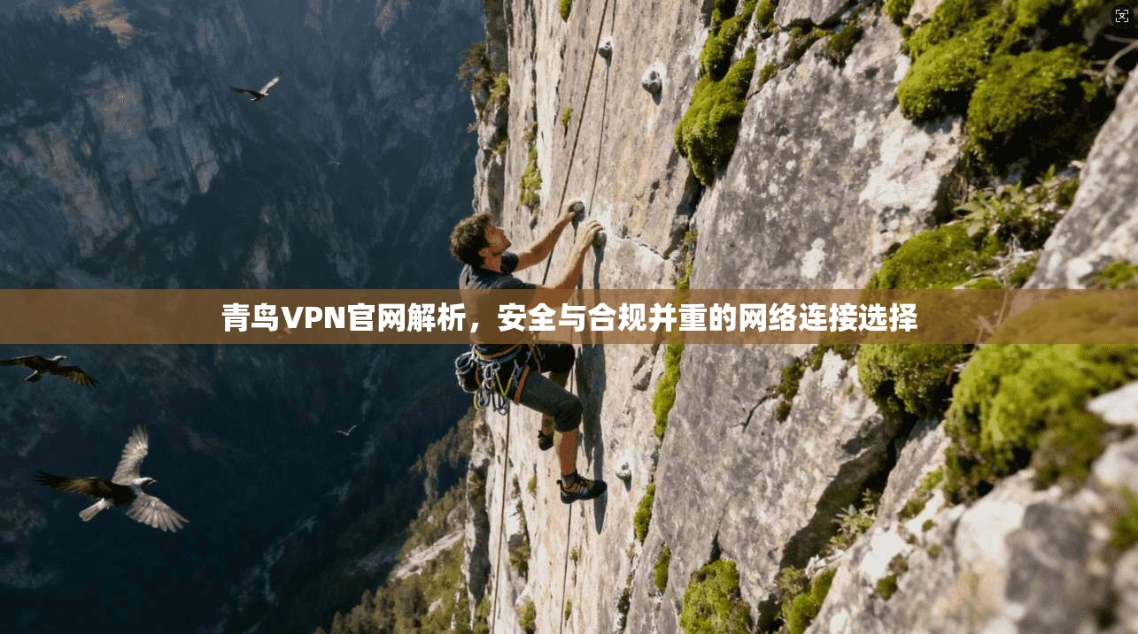 青鸟VPN官网解析，安全与合规并重的网络连接选择