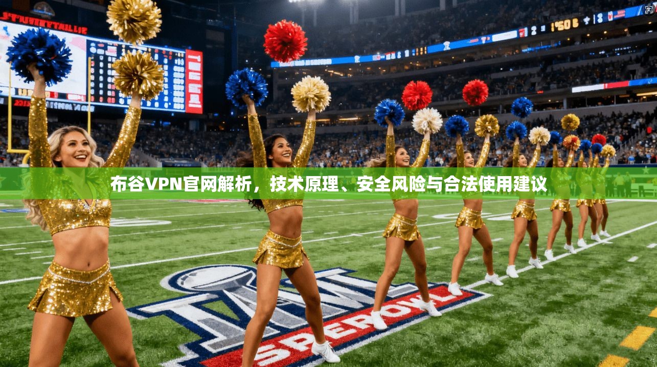 布谷VPN官网解析，技术原理、安全风险与合法使用建议