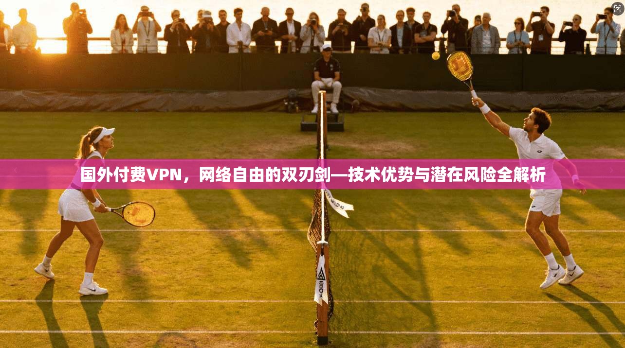 国外付费VPN，网络自由的双刃剑—技术优势与潜在风险全解析