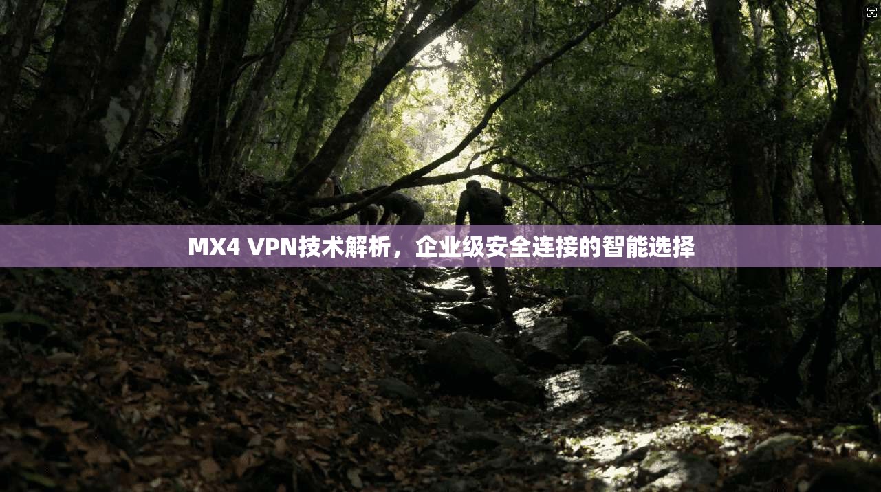 MX4 VPN技术解析，企业级安全连接的智能选择