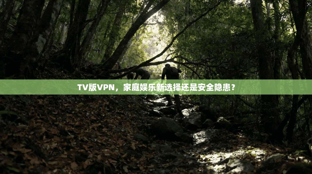 TV版VPN，家庭娱乐新选择还是安全隐患？