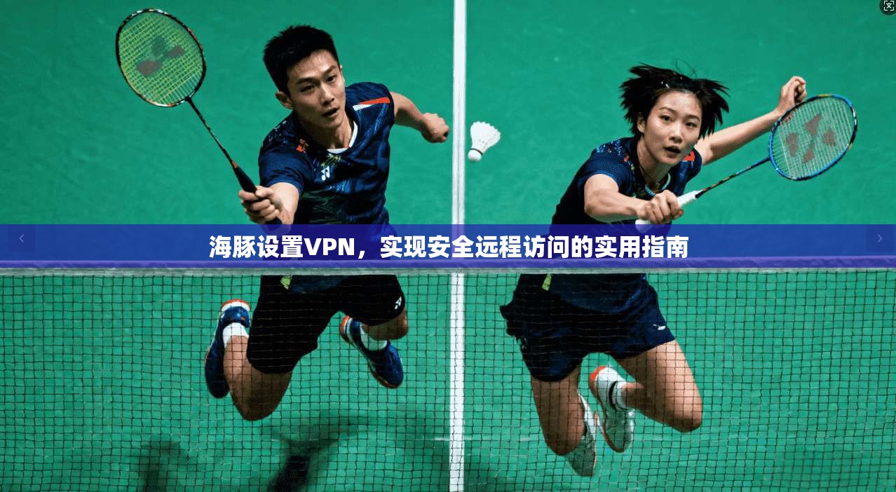 海豚设置VPN，实现安全远程访问的实用指南