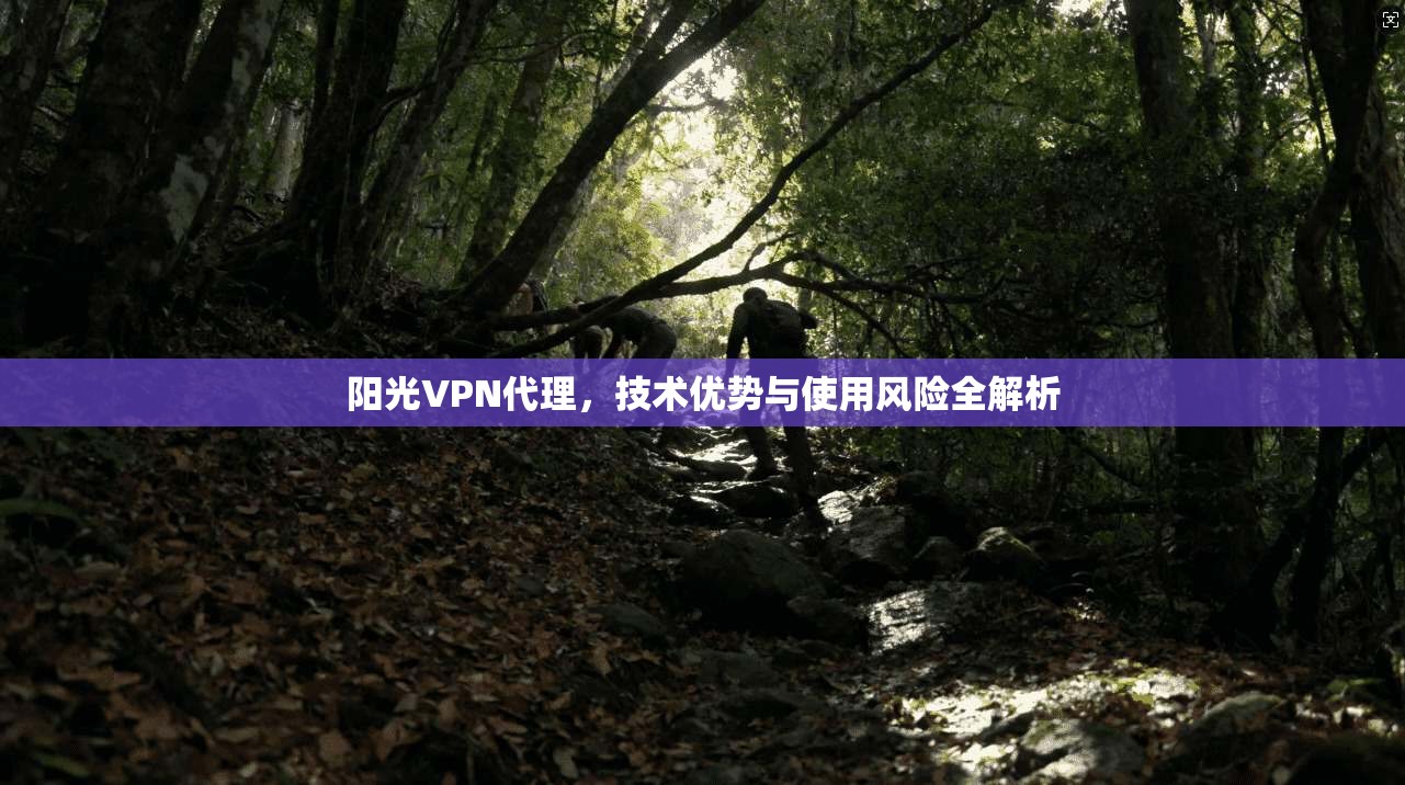 阳光VPN代理，技术优势与使用风险全解析