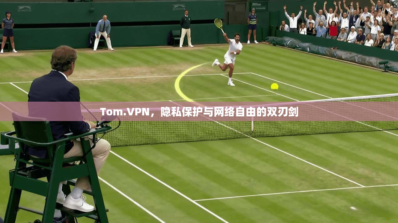 Tom.VPN，隐私保护与网络自由的双刃剑