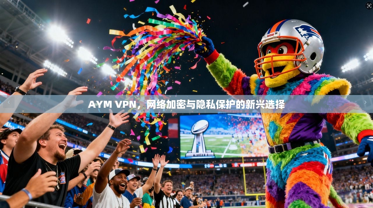 AYM VPN，网络加密与隐私保护的新兴选择