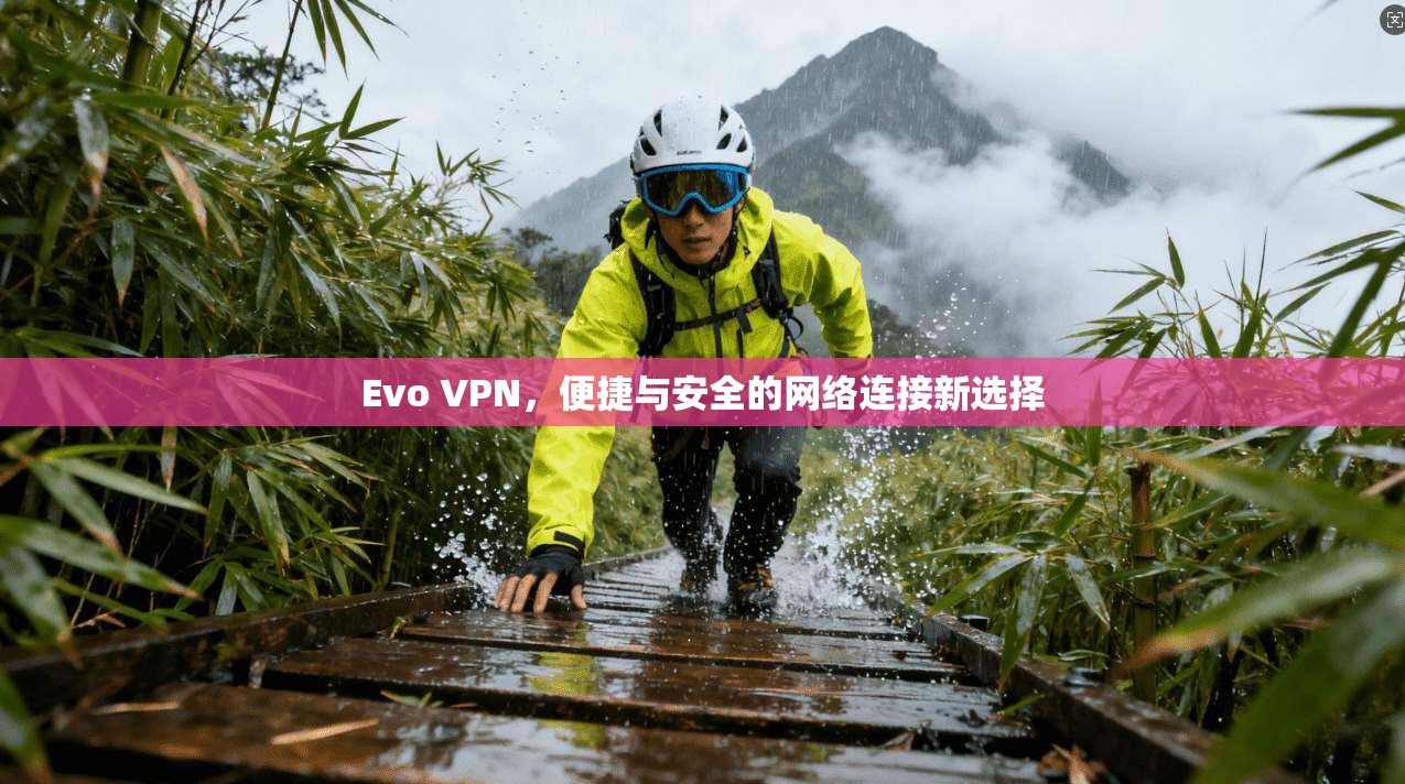 Evo VPN，便捷与安全的网络连接新选择