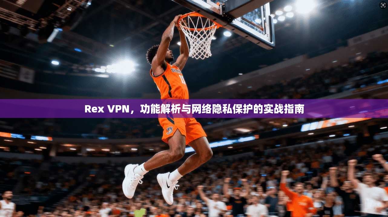 Rex VPN，功能解析与网络隐私保护的实战指南