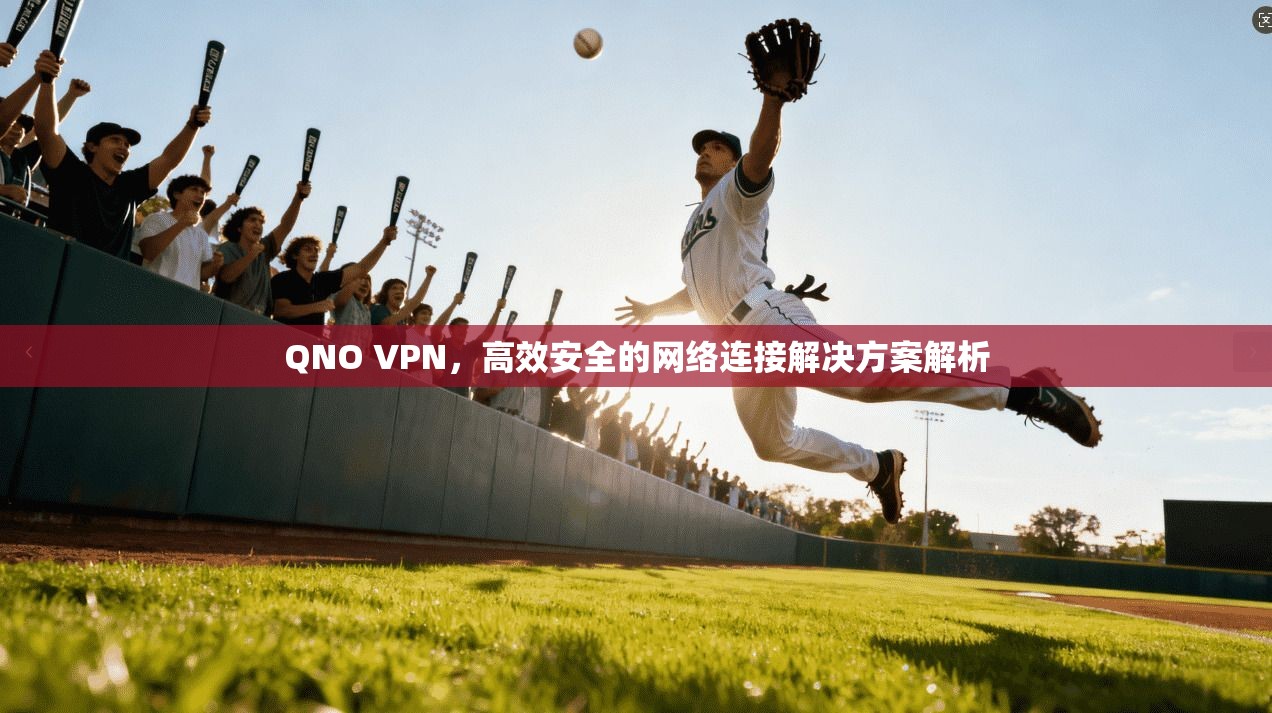 QNO VPN，高效安全的网络连接解决方案解析