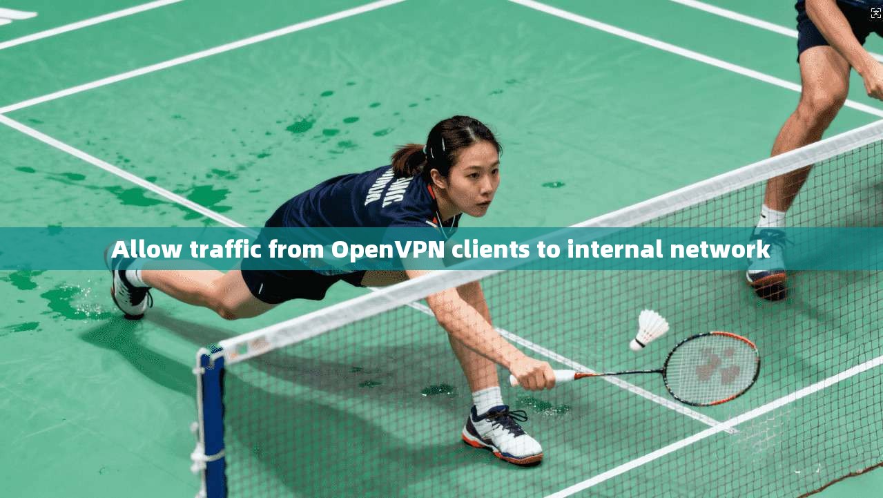 Allow traffic from OpenVPN clients to internal network
