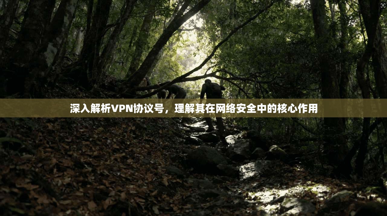 深入解析VPN协议号，理解其在网络安全中的核心作用