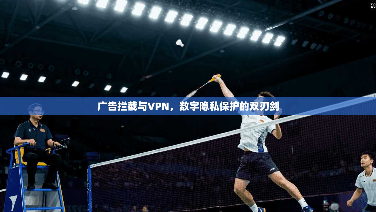 广告拦截与VPN，数字隐私保护的双刃剑