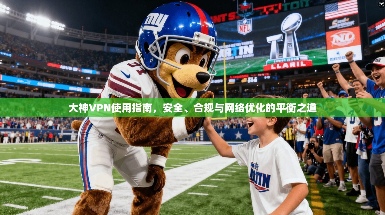 大神VPN使用指南，安全、合规与网络优化的平衡之道