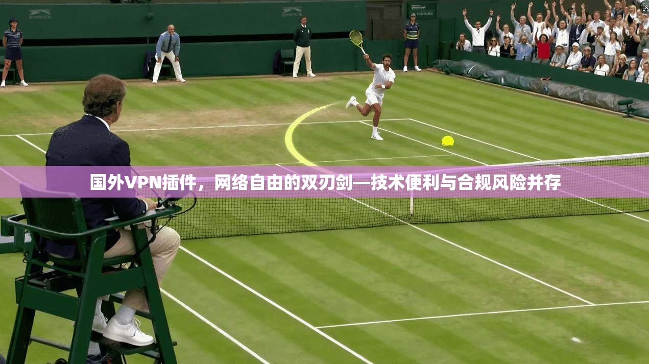 国外VPN插件，网络自由的双刃剑—技术便利与合规风险并存