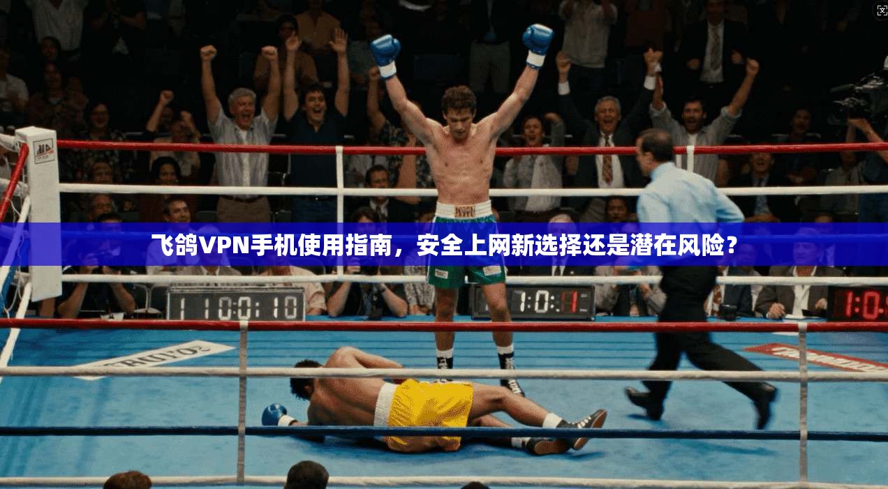 飞鸽VPN手机使用指南，安全上网新选择还是潜在风险？