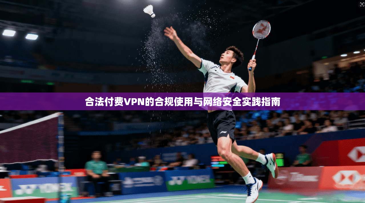 合法付费VPN的合规使用与网络安全实践指南
