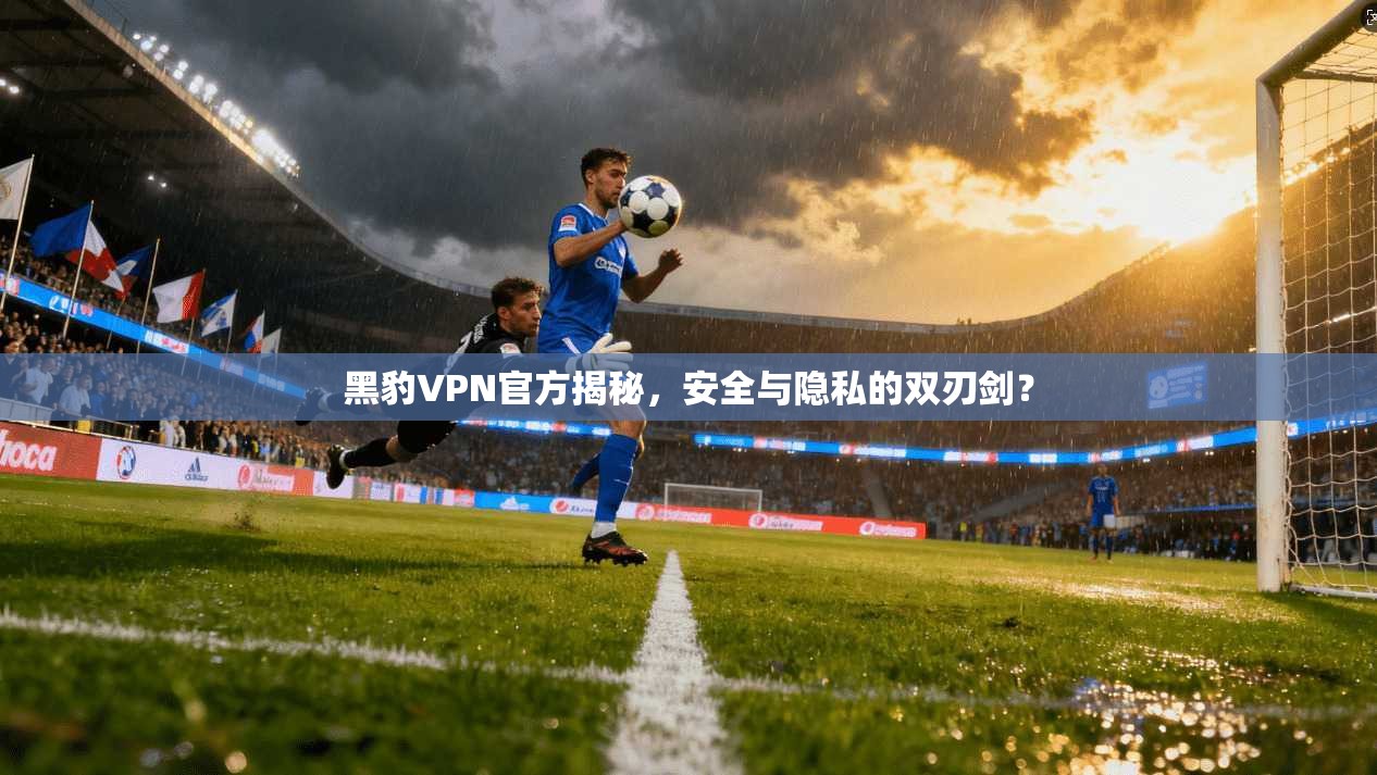 黑豹VPN官方揭秘，安全与隐私的双刃剑？