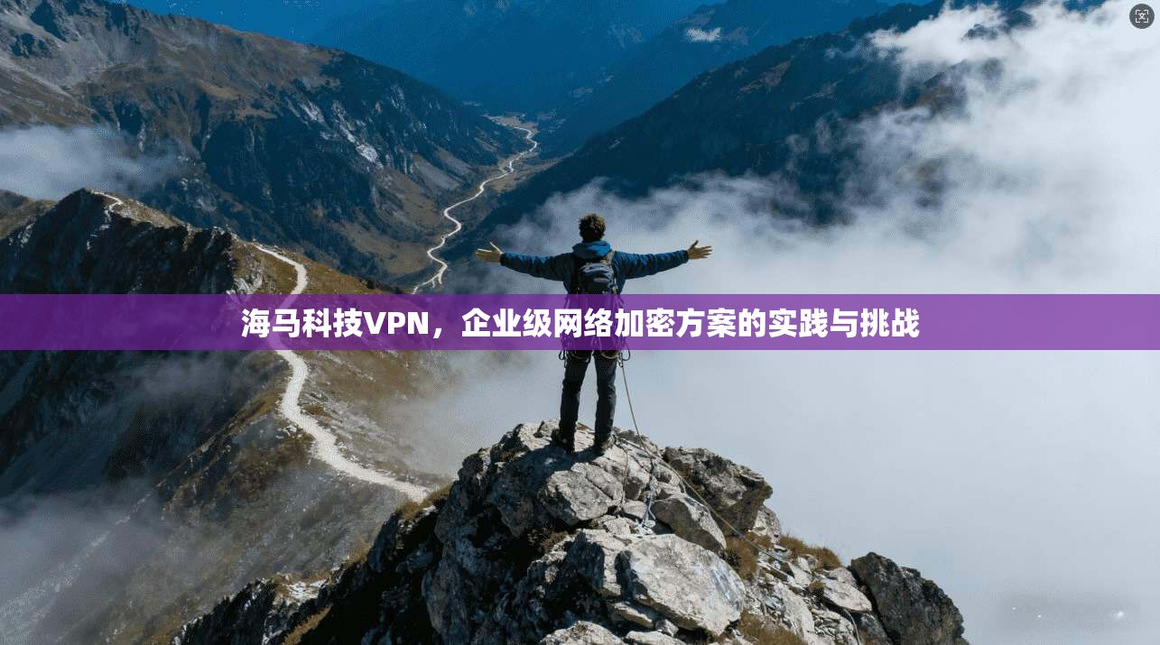 海马科技VPN，企业级网络加密方案的实践与挑战
